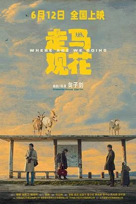 走马观花